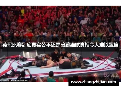 英冠比赛到底真实公平还是暗藏猫腻真相令人难以置信