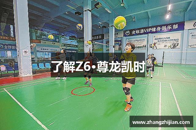 了解Z6·尊龙凯时